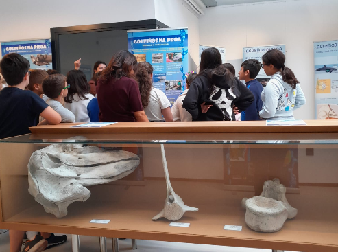 Visita guiada Mar de Sorrizo de Arteixo