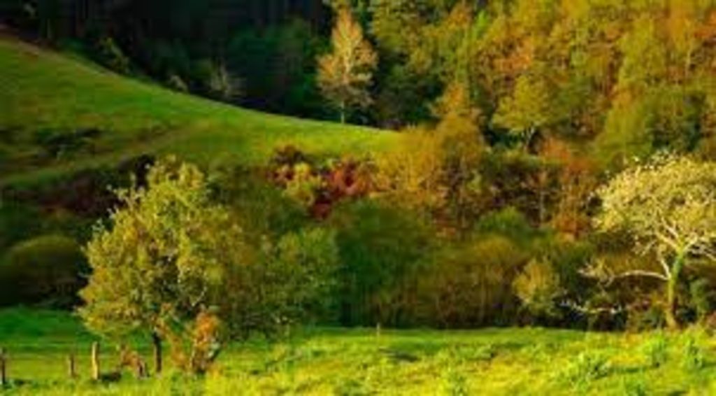 A Deputación da Coruña apoia a vinte e tres entidades da provincia no desenvolvemento de actividades de conservación do medio ambiente
