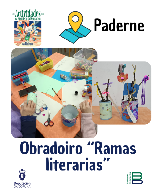 Resumo de actividades na provincia (Febreiro 2026)