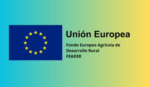 Investimentos en tecnoloxías forestais, procesamento, mobilización e comercialización de produtos forestais - 20/03/2026