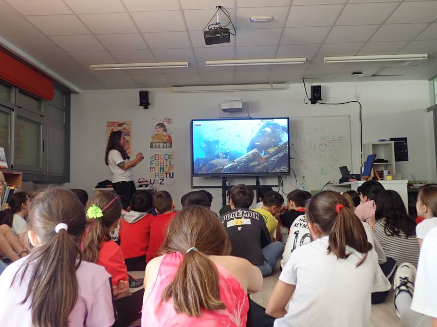 A Deputación da Coruña leva a realidade virtual ás aulas para concienciar máis de 500 escolares sobre a riqueza do medio mariño galego