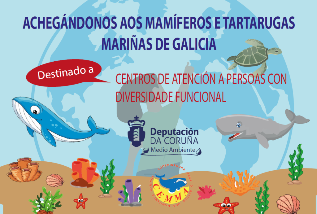 Achegándonos aos mamíferos e tartarugas mariñas de Galicia