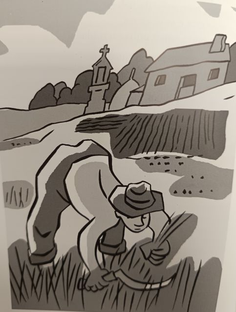 Día da Ilustración 2026