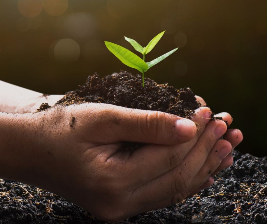 A Deputación impulsa con 330.000 euros o traballo de 22 asociacións medioambientais da provincia