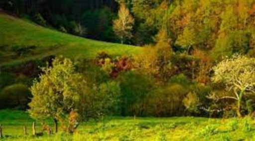 A Deputación da Coruña apoia a vinte e tres entidades da provincia no desenvolvemento de actividades de conservación do medio ambiente