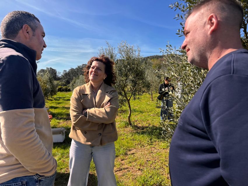 A Deputación destaca en Boiro o potencial de Olea Atlántica para recuperar a oliveira galega e xerar actividade no rural